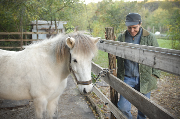 Michele con uno dei cavalli islandesi